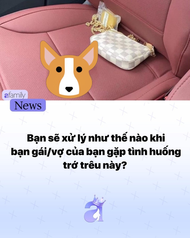 bb4e9ac38dadc5be385e.jpg