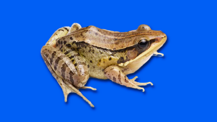 bb77c47a07a82101f5d1.png