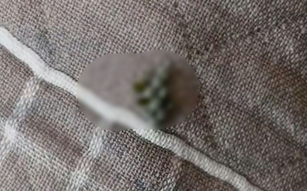 bb7eb8cdc0222b9a8e33.jpg
