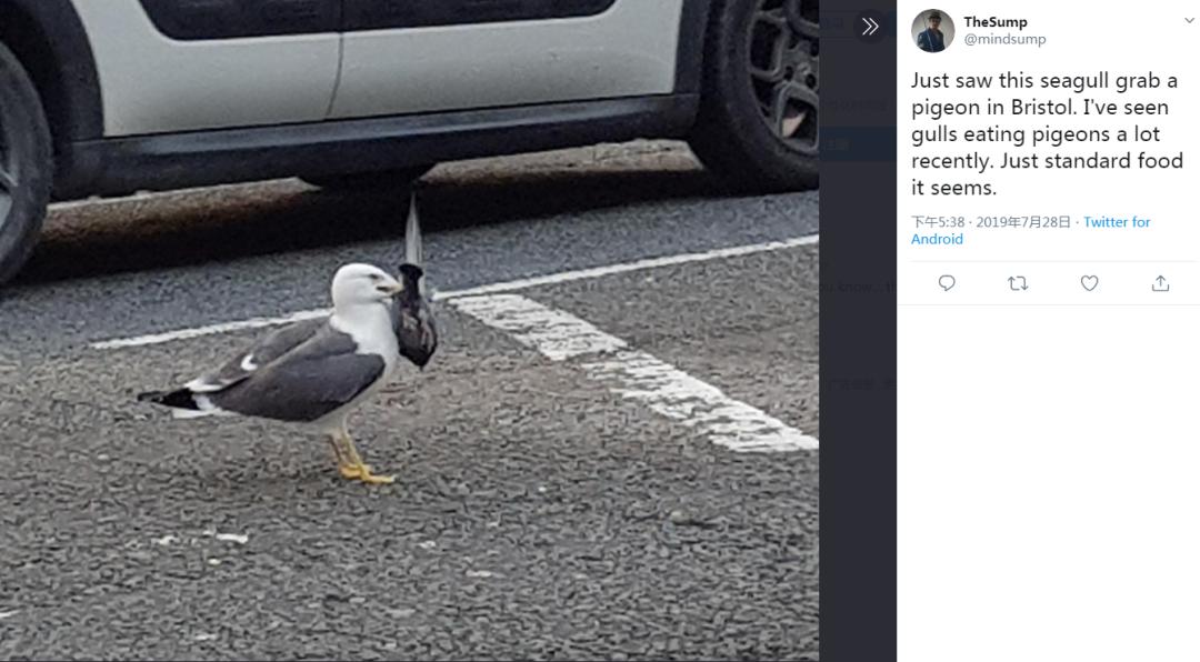 bb834f8acb11001e35e8.jpg