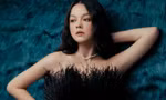 bc20f44224989b044de7.jpg