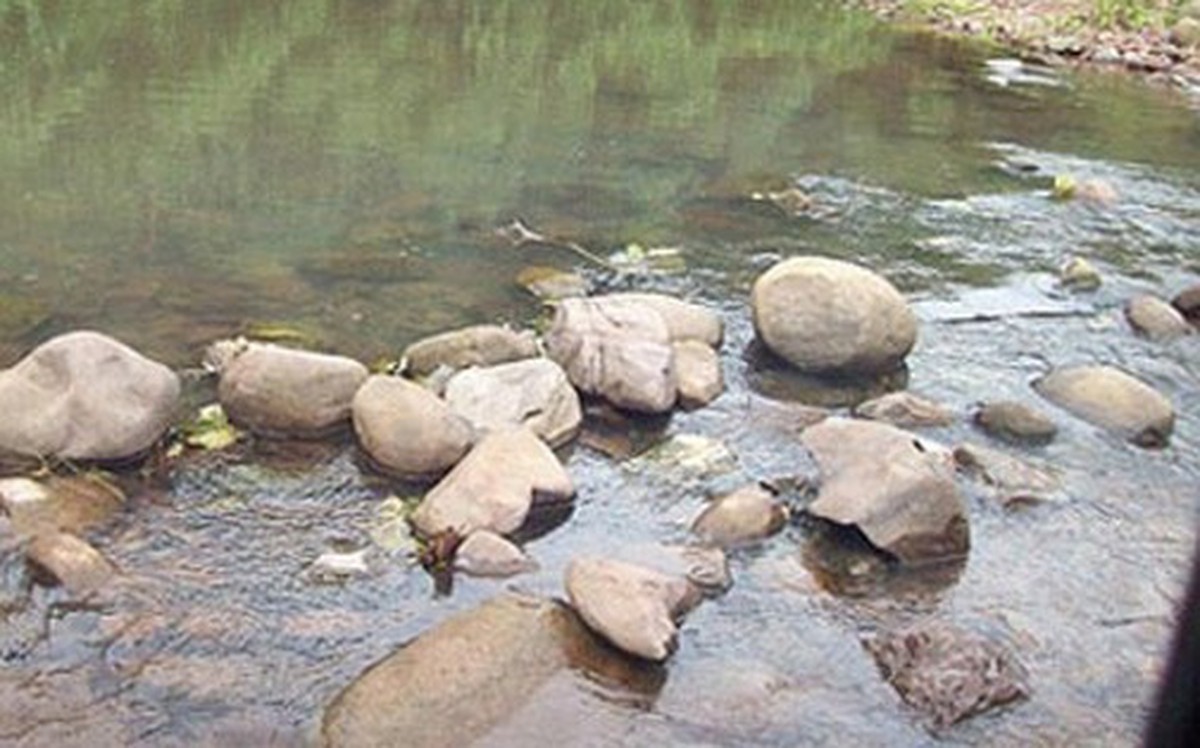 bc5f2962b060be2d8346.jpg