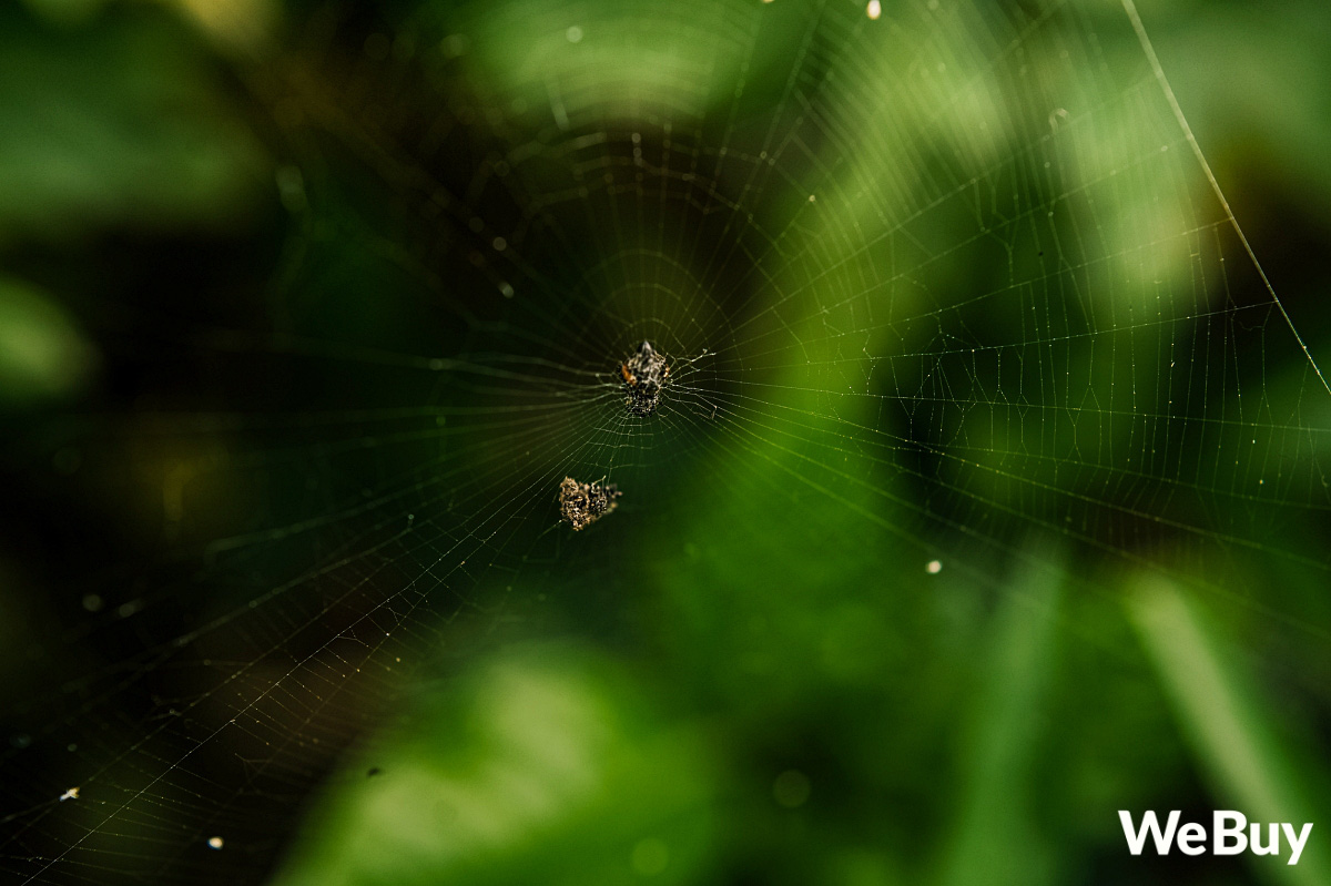 bc66d4a384e58f1f0453.jpg