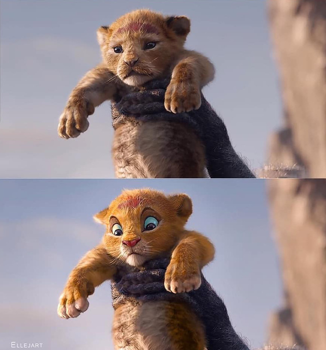 bc7a88a4749942fbc63e.png