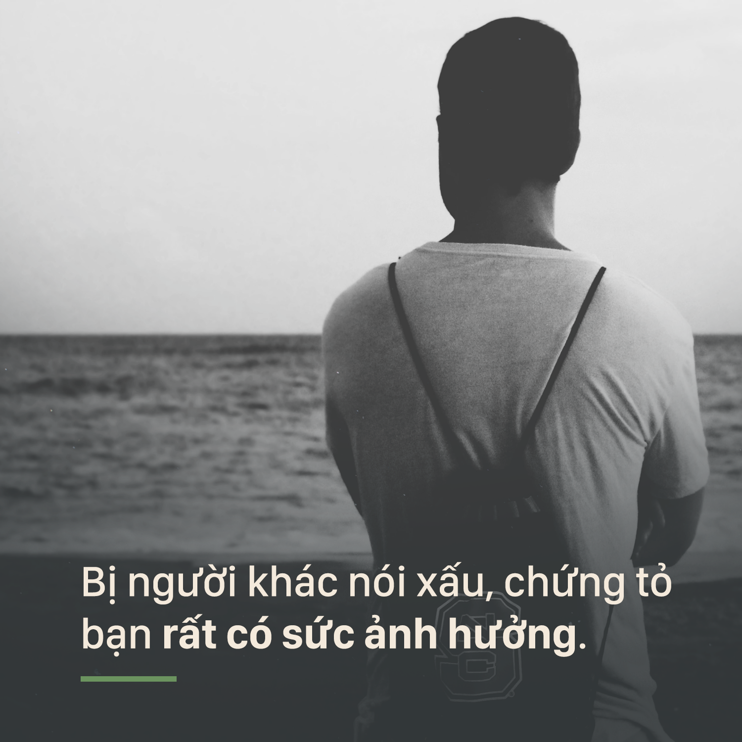 bc9a76325739f7a02675.png
