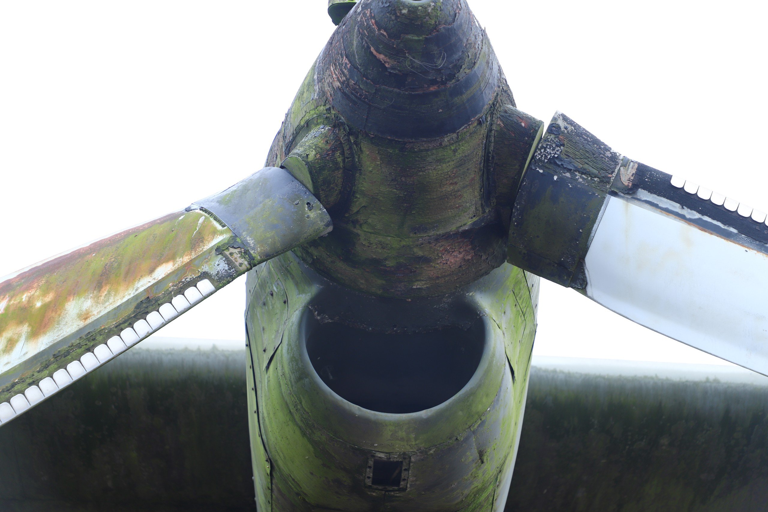 bcacf2e36dc64da278c7.jpg
