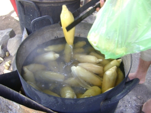 bcc0e397231cd3aeab7c.jpg
