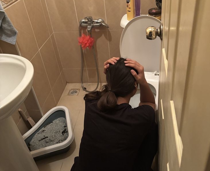 bcf3b7a3f7efc624ef92.jpg