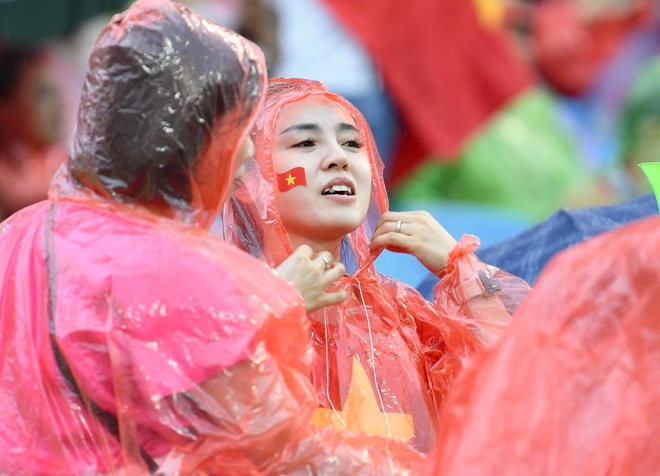 bcf94ca565312653eb93.jpg