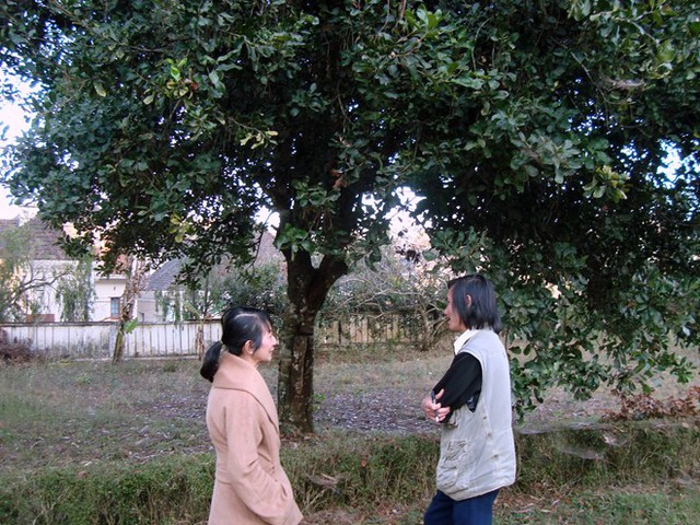 bd01ab50d44af6b67335.jpg