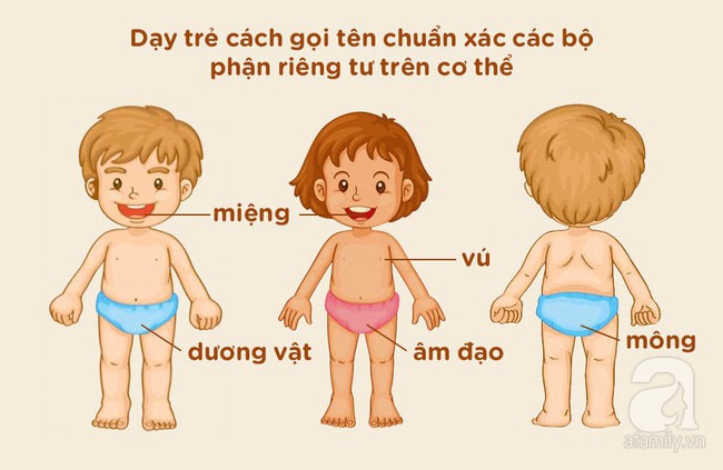 bd08ce47e16344eeeb2f.jpg