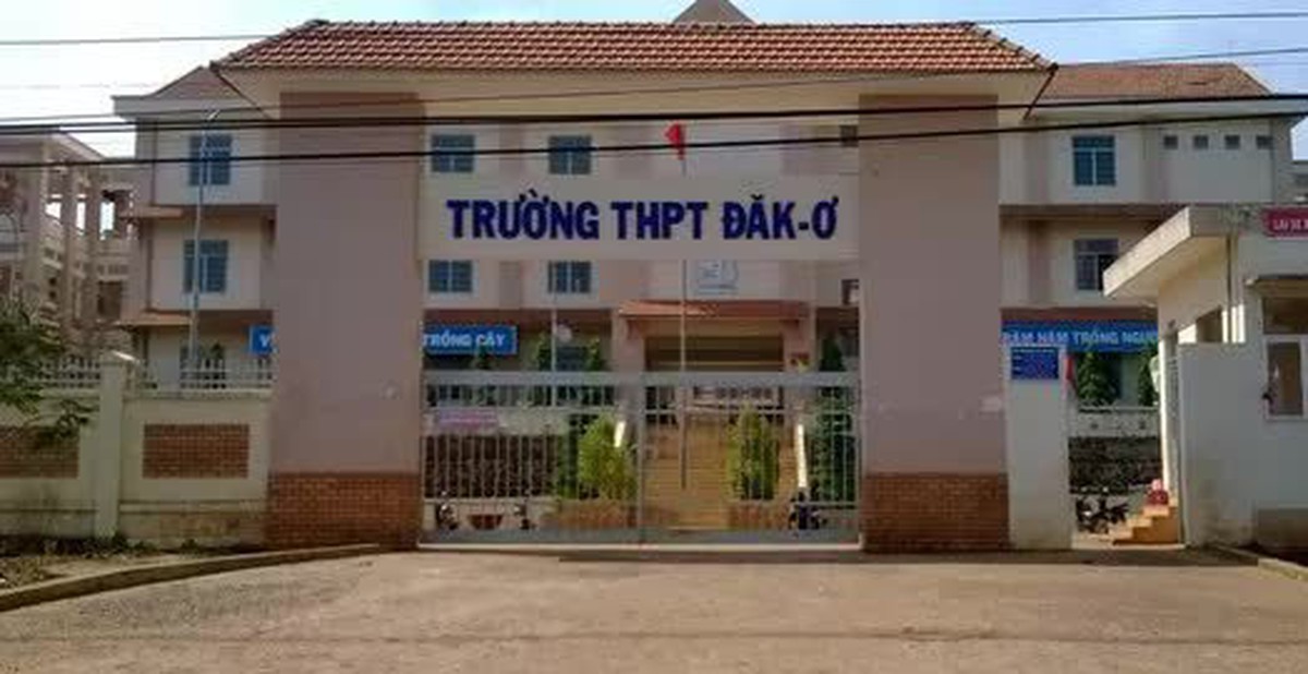 bd1b3c8cb9c70ecd5220.jpg