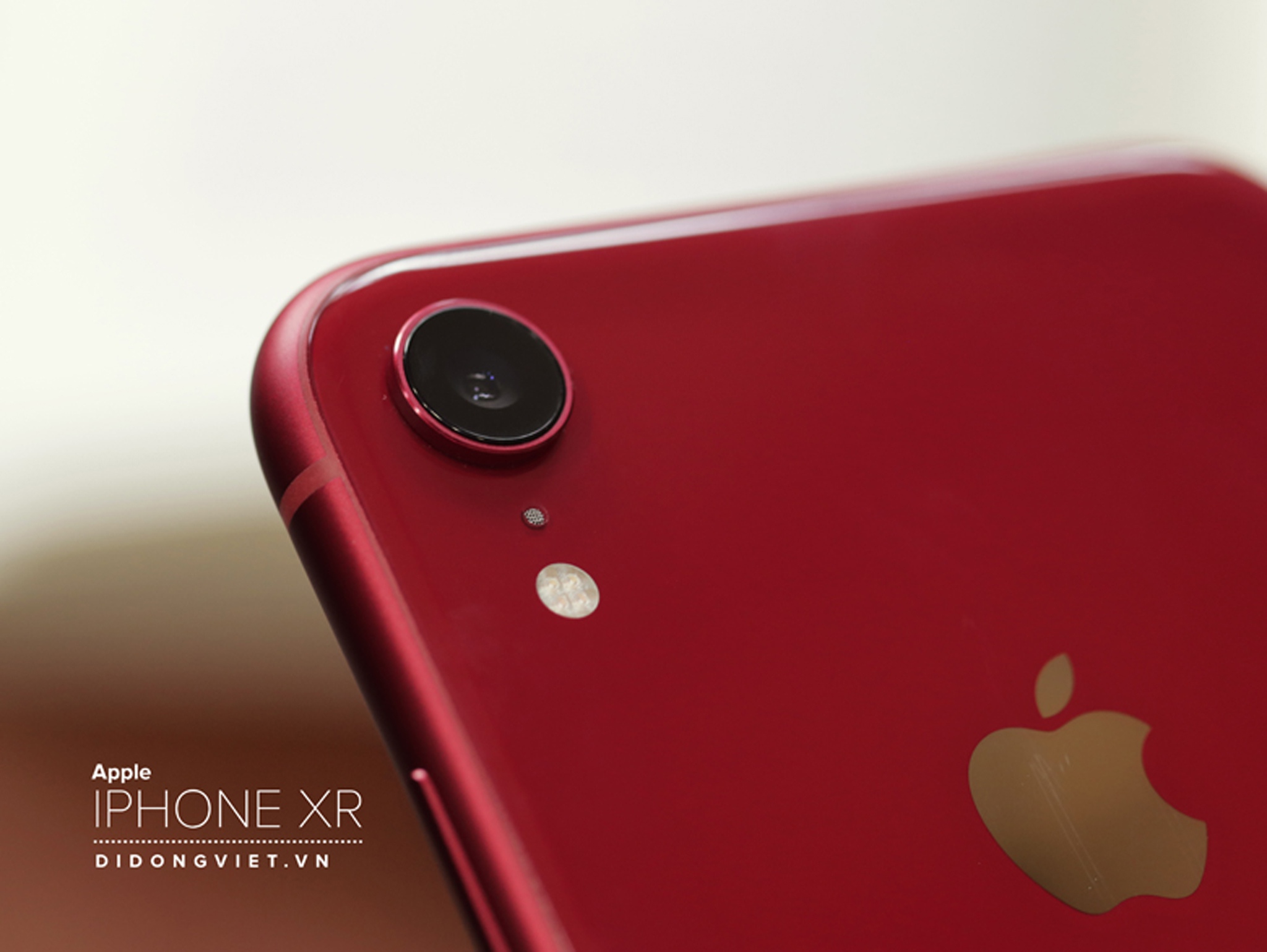 bd50d2a925924441edce.jpg