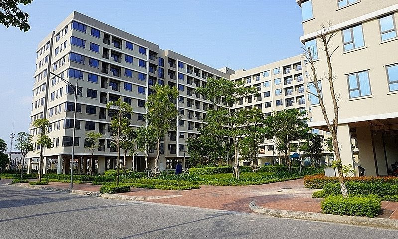 bd703204d71fca0145e3.jpg