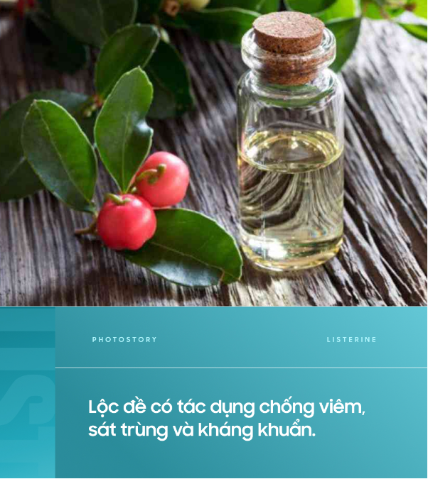 bd85054d756d23231e7f.png