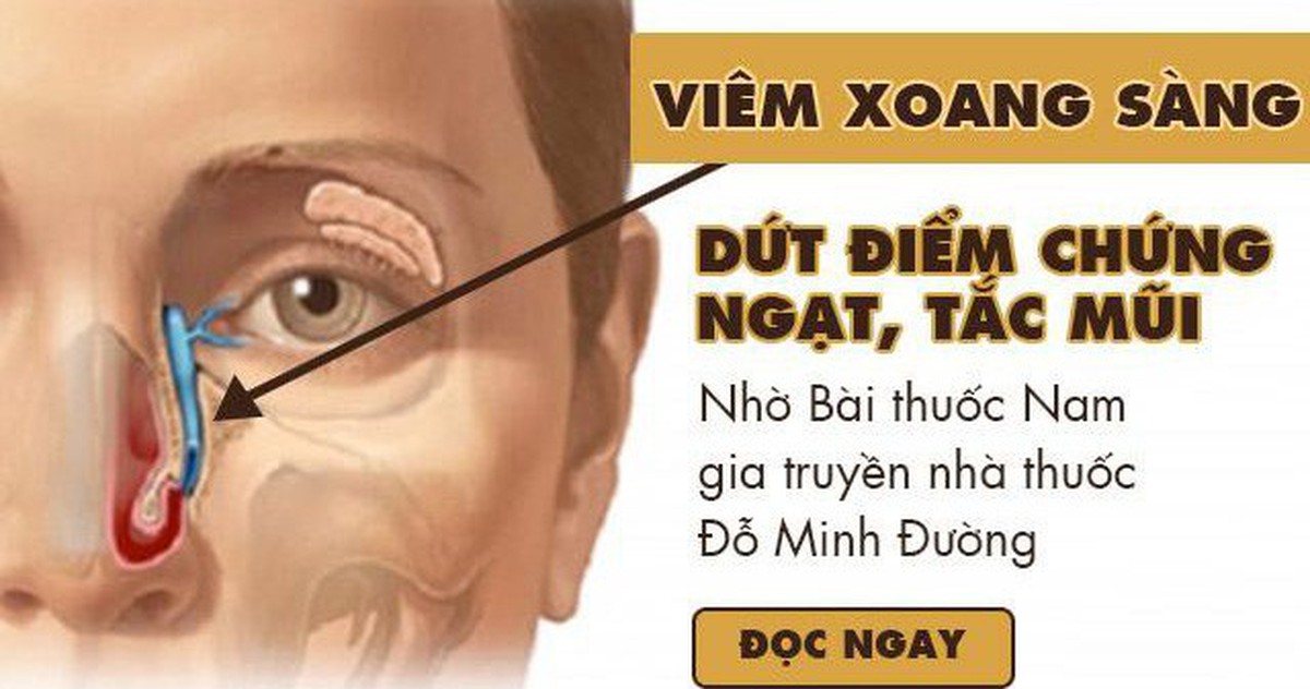 bd8d418a5da2320c12c6.jpg