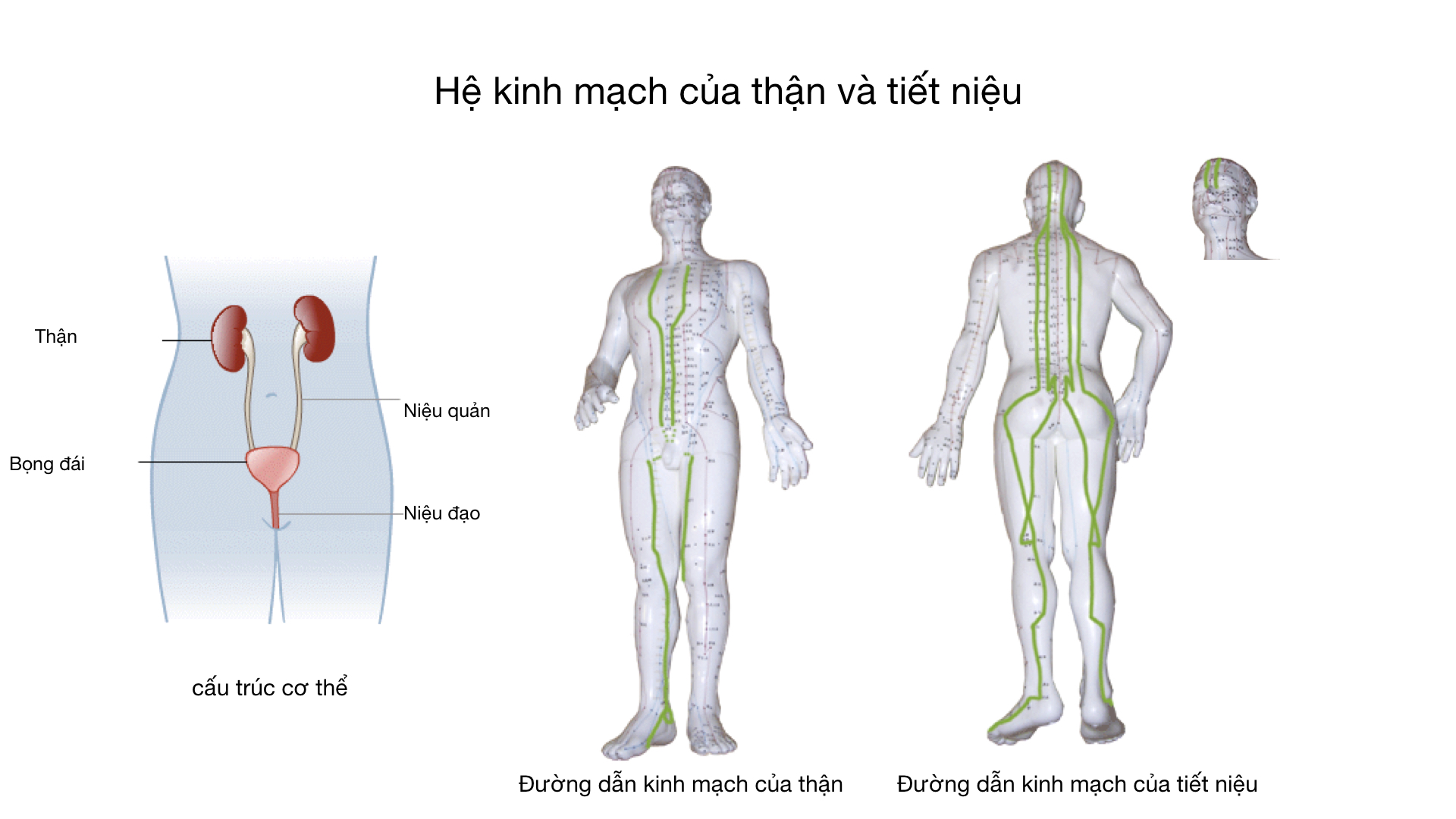 bdc53c26dc7db297abd2.jpg