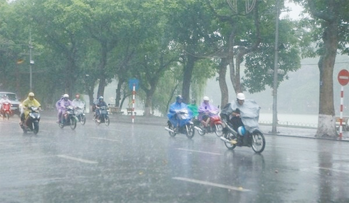 bdc9cae45a155c7a88fd.jpg