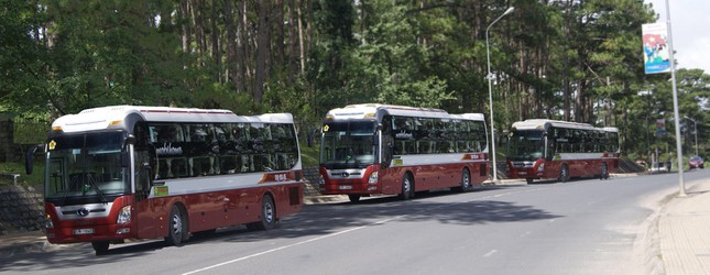bded24de03d22983f3cd.jpg