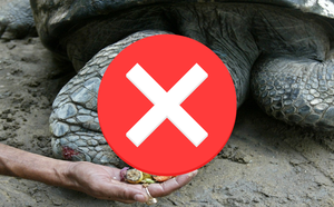 be0d45de127d0434a0d7.png