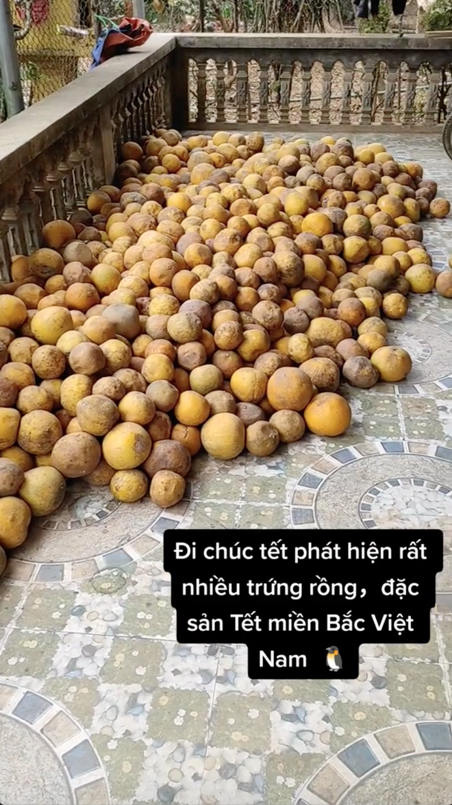 be1b6e145f3413de993f.png