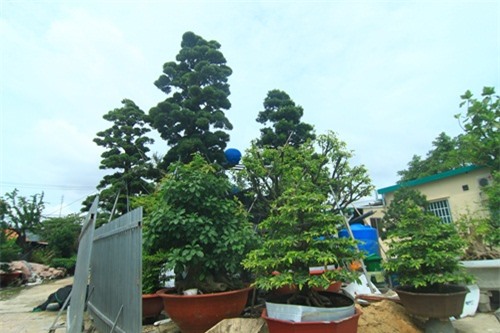 be1e02a034440d387247.jpg