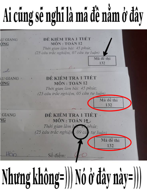 be3357a530a9a0747eb0.png