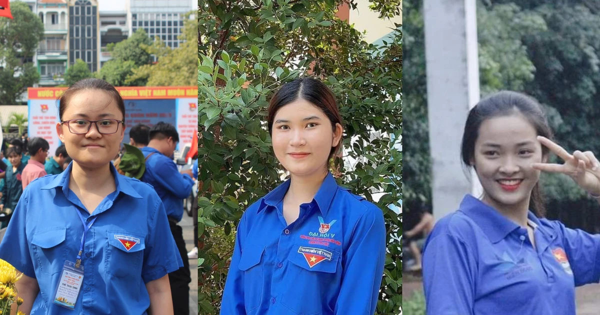 be597b481cf9315889cc.webp