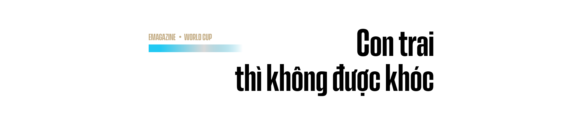 be62e300486df6ef748a.png