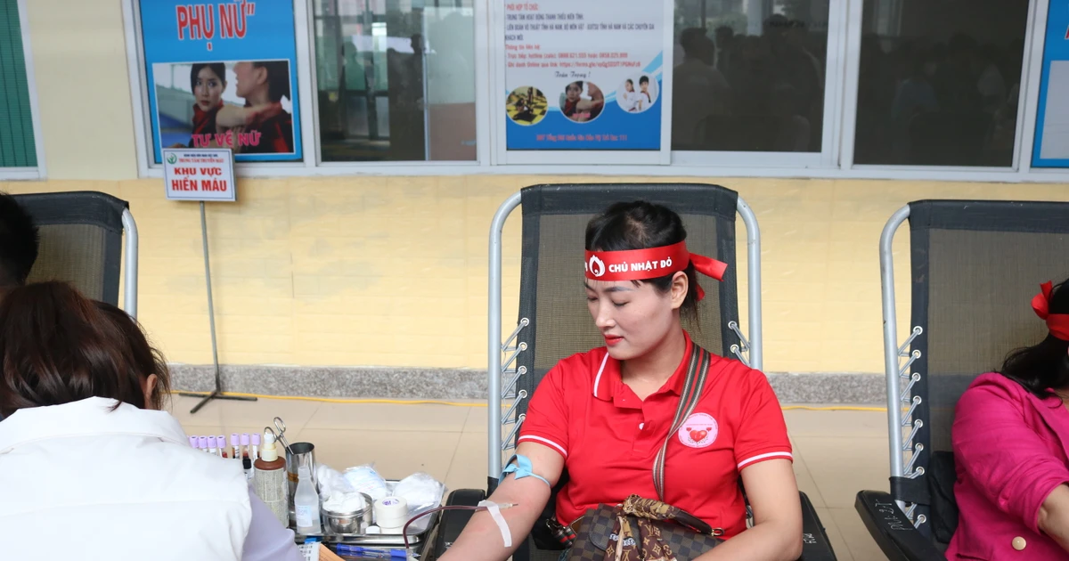 Chủ Nhật Đỏ 2024 tại Hà Nam: Một buổi sáng nhận được 259 đơn vị máu, tình nguyện viên xếp hàng dài đến trưa