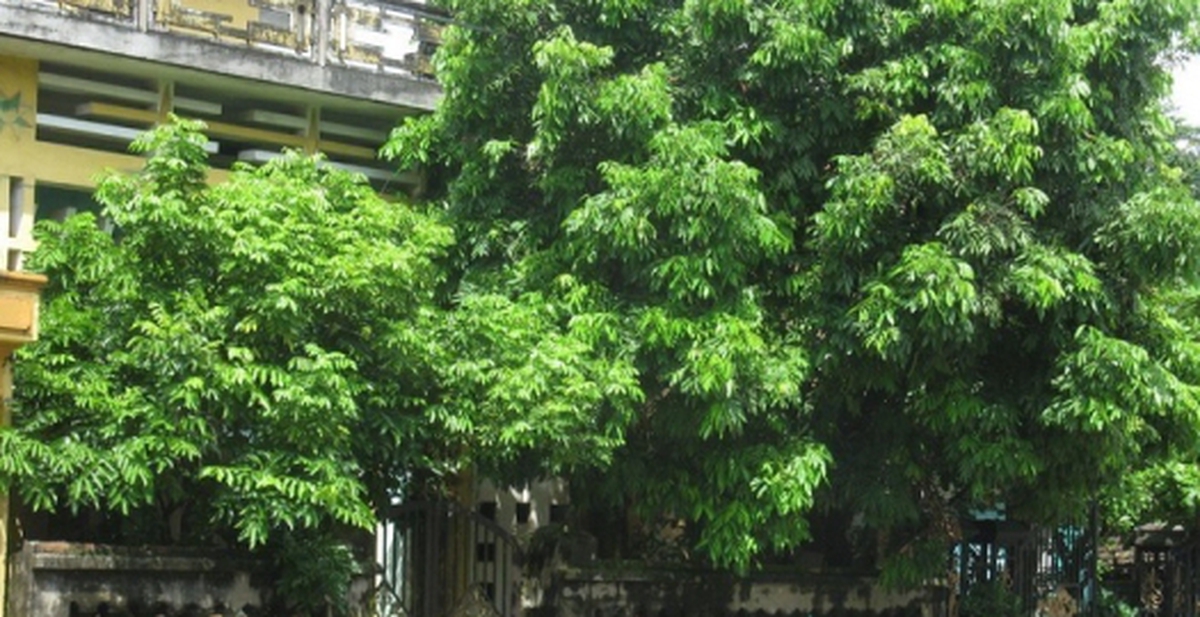 bea4a3ef24464c4ad93d.jpg