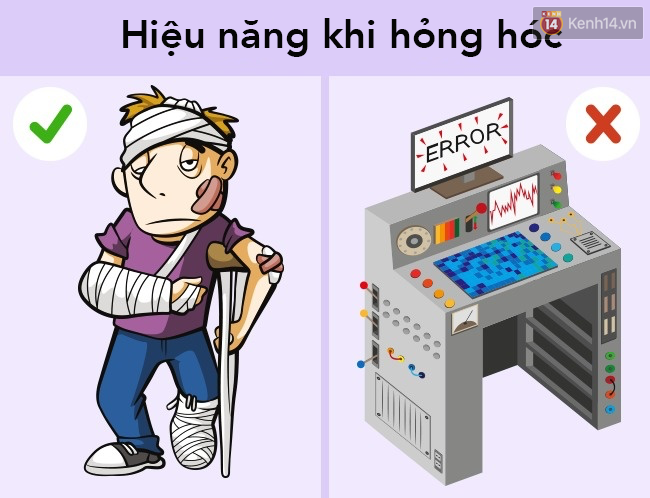 bed42da1a2c13ad50e2f.png