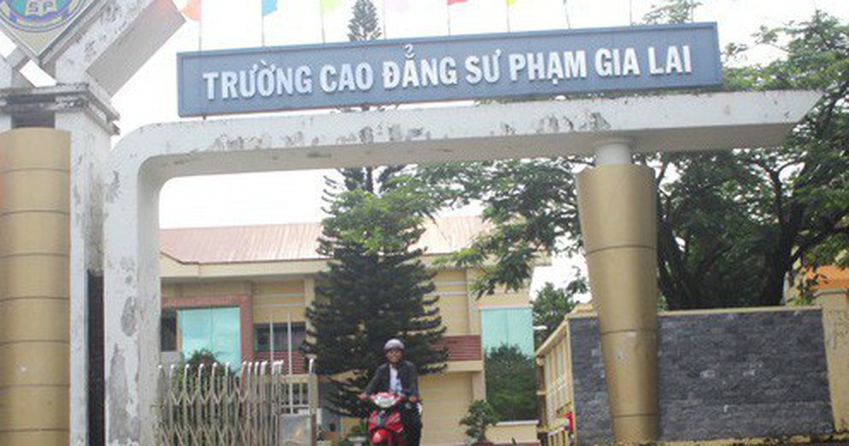 bf205d32db764e041d2f.jpg