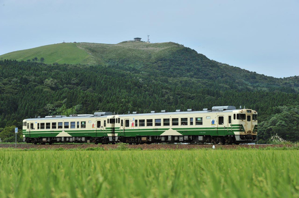 bf2d7ce5496ec99667aa.jpg