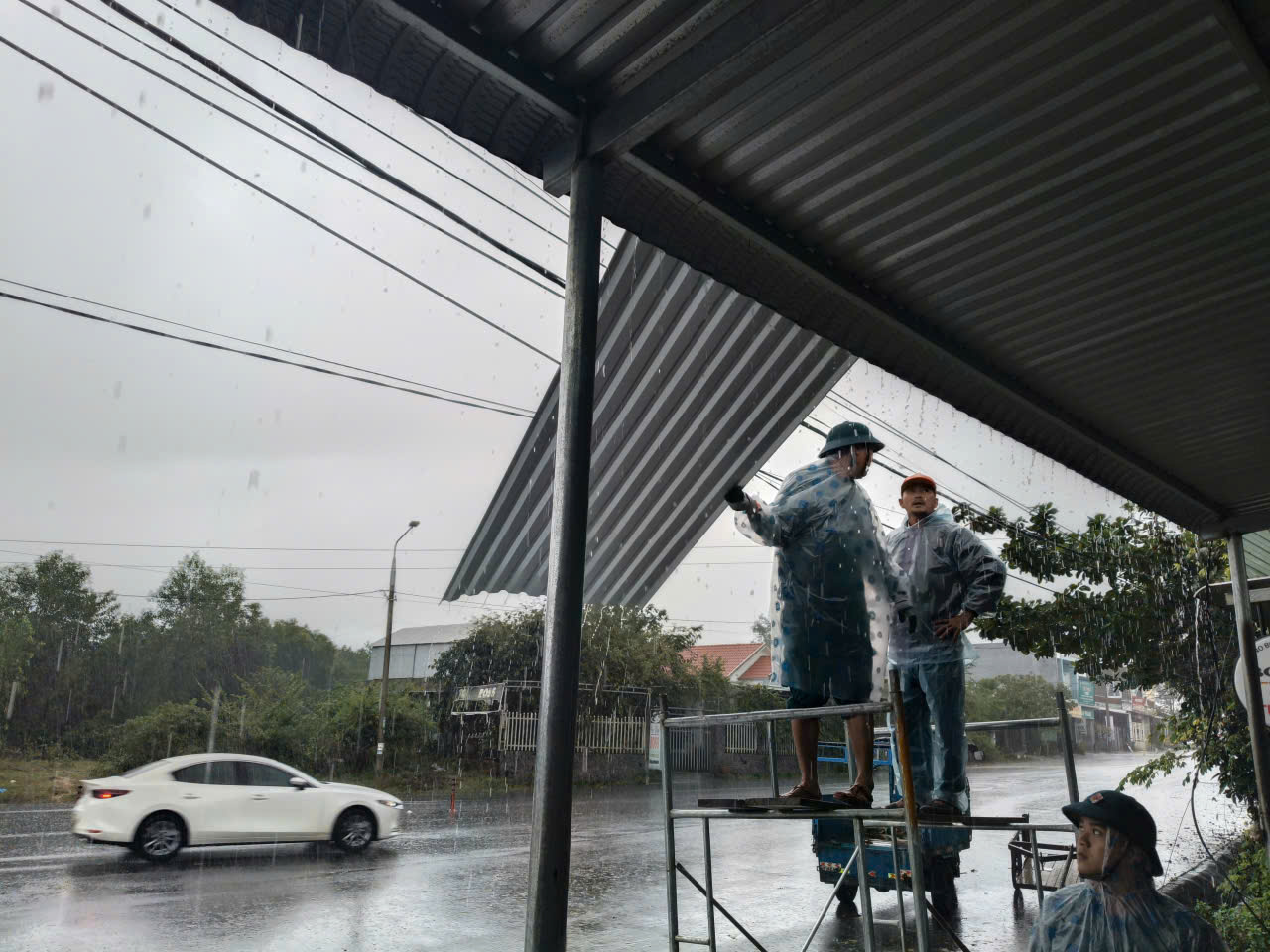 bf32289e191555448b3c.jpg