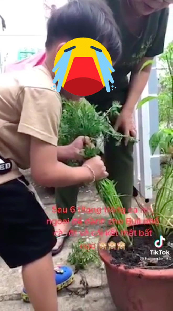 bf5c26b45b0735c1826d.jpg