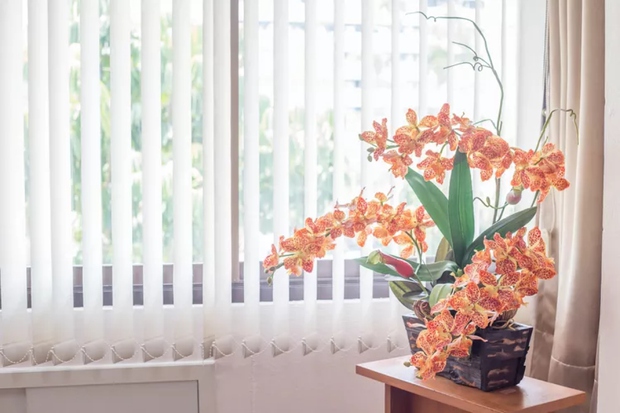 bf6c188c368efa318529.jpg