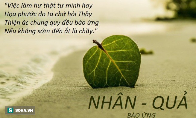 bf848f31ab288a7327bc.png