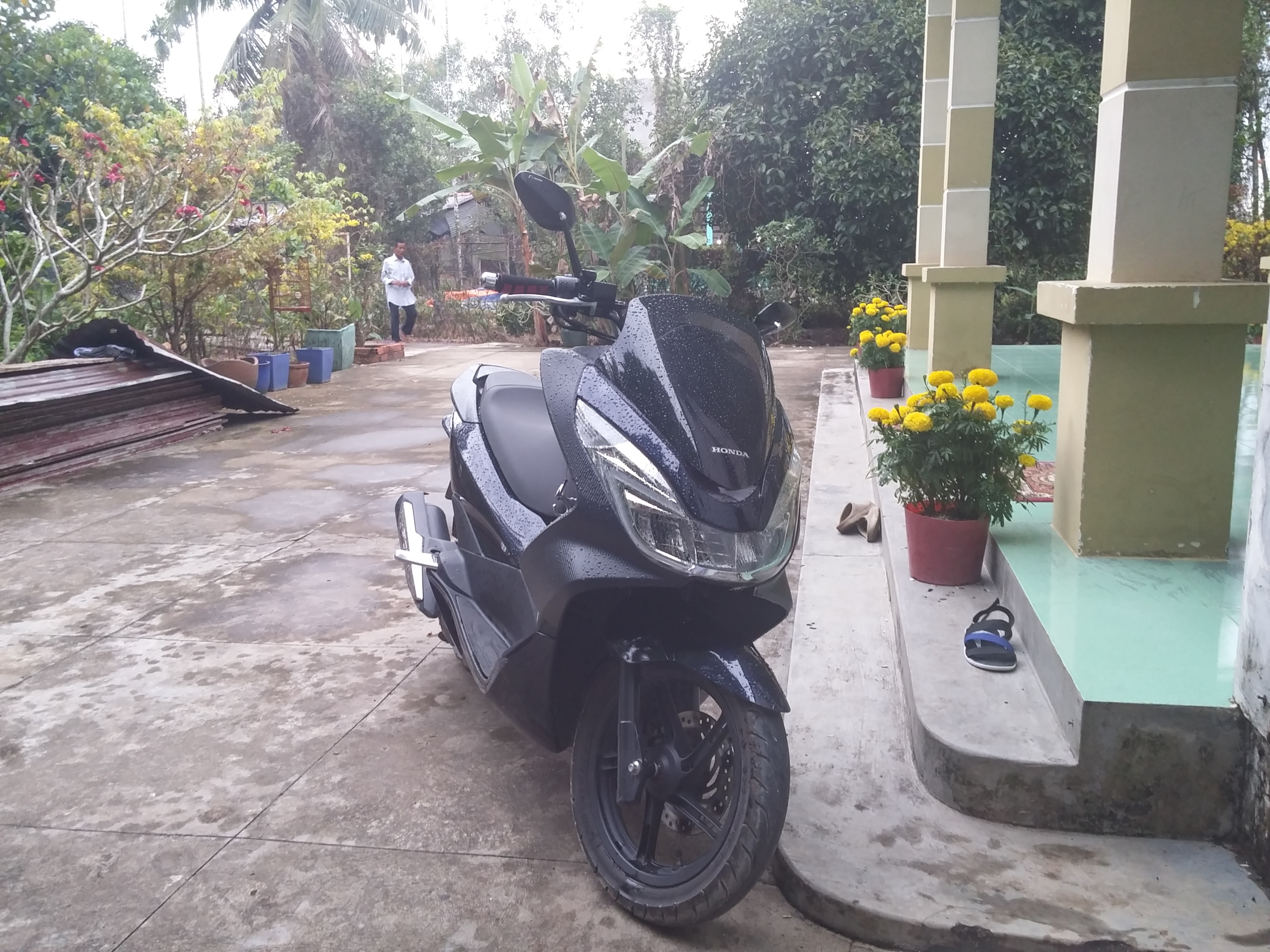 bf97210830d2734390a4.jpg