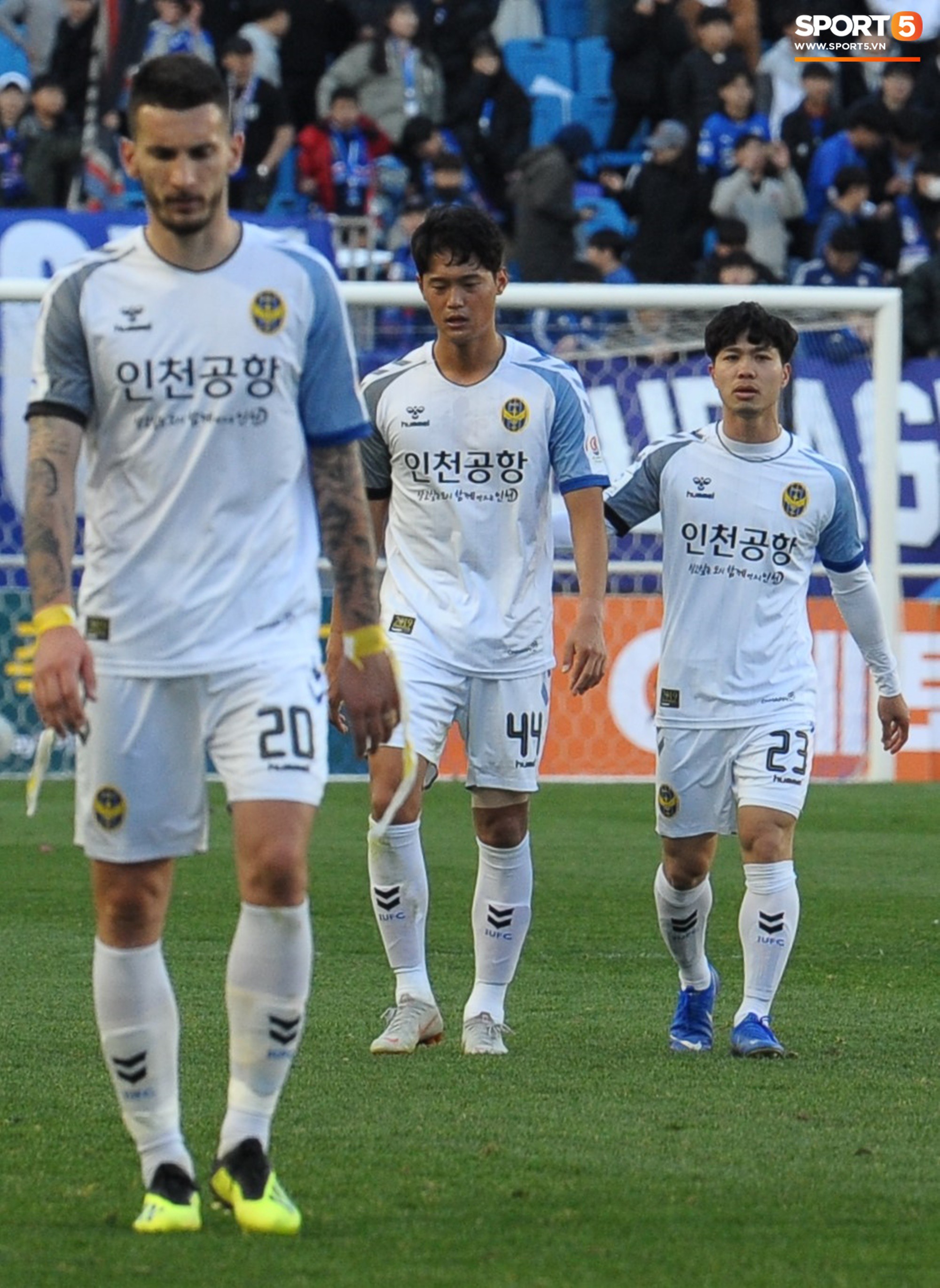 bf984bb99a2fa37d63f3.jpg