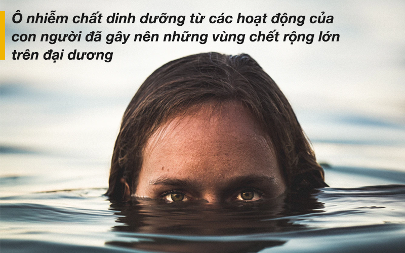 bfa3a7b24ab24059a70a.png