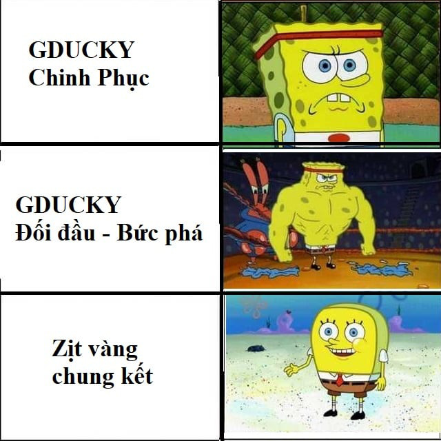 bfc14f6d5bfc8b95e0a8.jpg