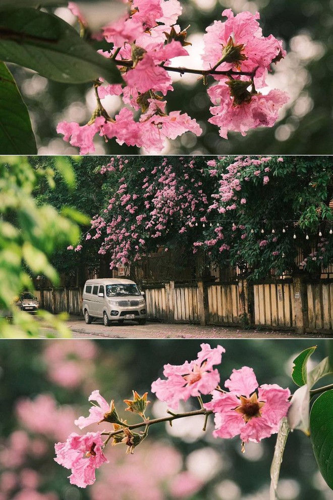 bfcb8138c37402bd4cc4.jpg