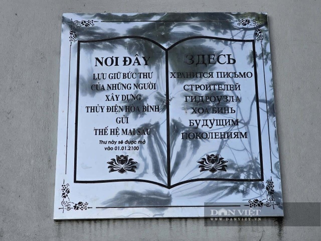 c00d9c467e61cb833fa8.jpg