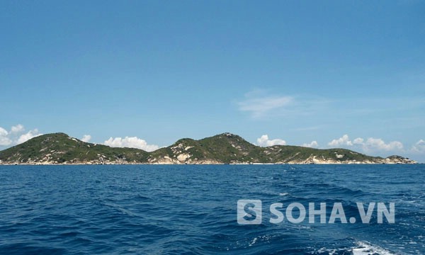 c0299835172336efc329.jpg