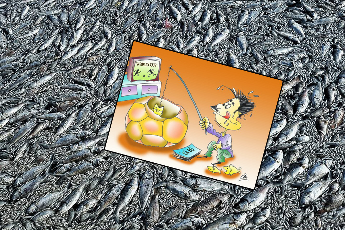 c0729686f5988ed2c7ad.png