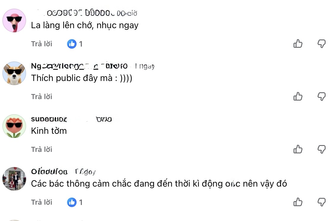 c0cb1709f126b15a742c.jpg
