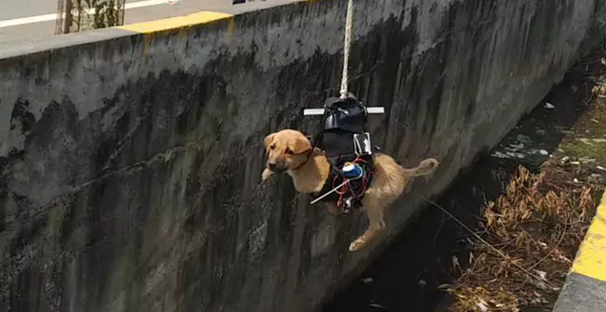 c0ce729c0d2f5f45eb06.png