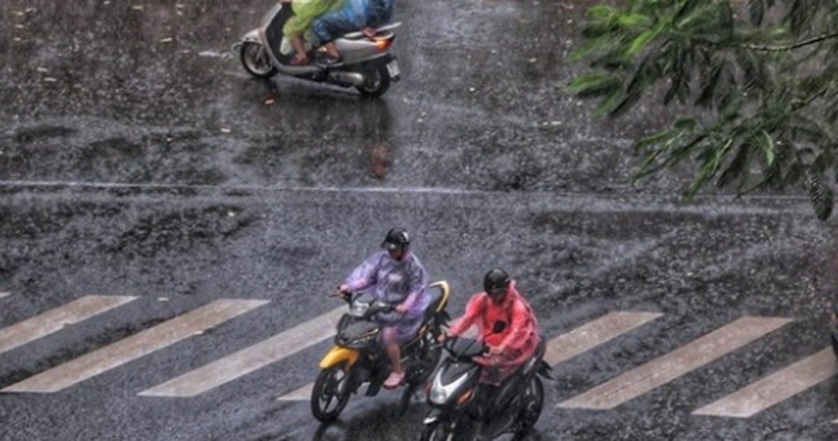 c105cc9cedf3d0ef42c6.jpg