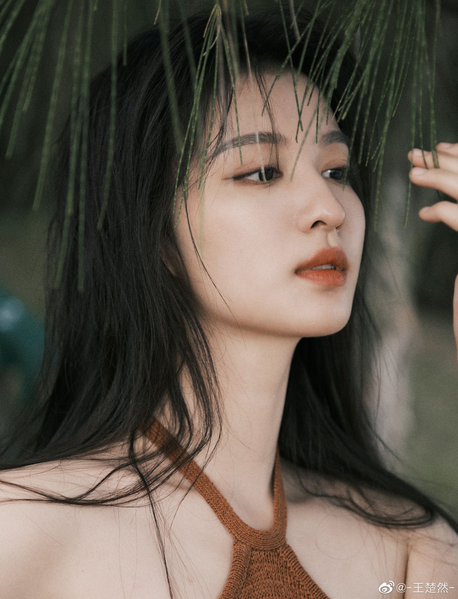 c12bfb982fac9fa5c420.jpg
